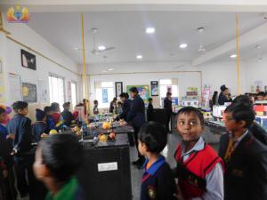 National Science Day, 2019 (10)